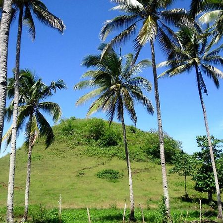 Bohol Sweet Home Bed And Breakfast Guindulman Екстериор снимка
