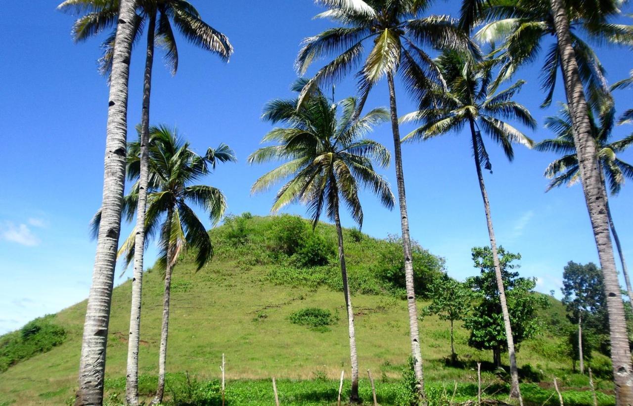 Bohol Sweet Home Bed And Breakfast Guindulman Екстериор снимка